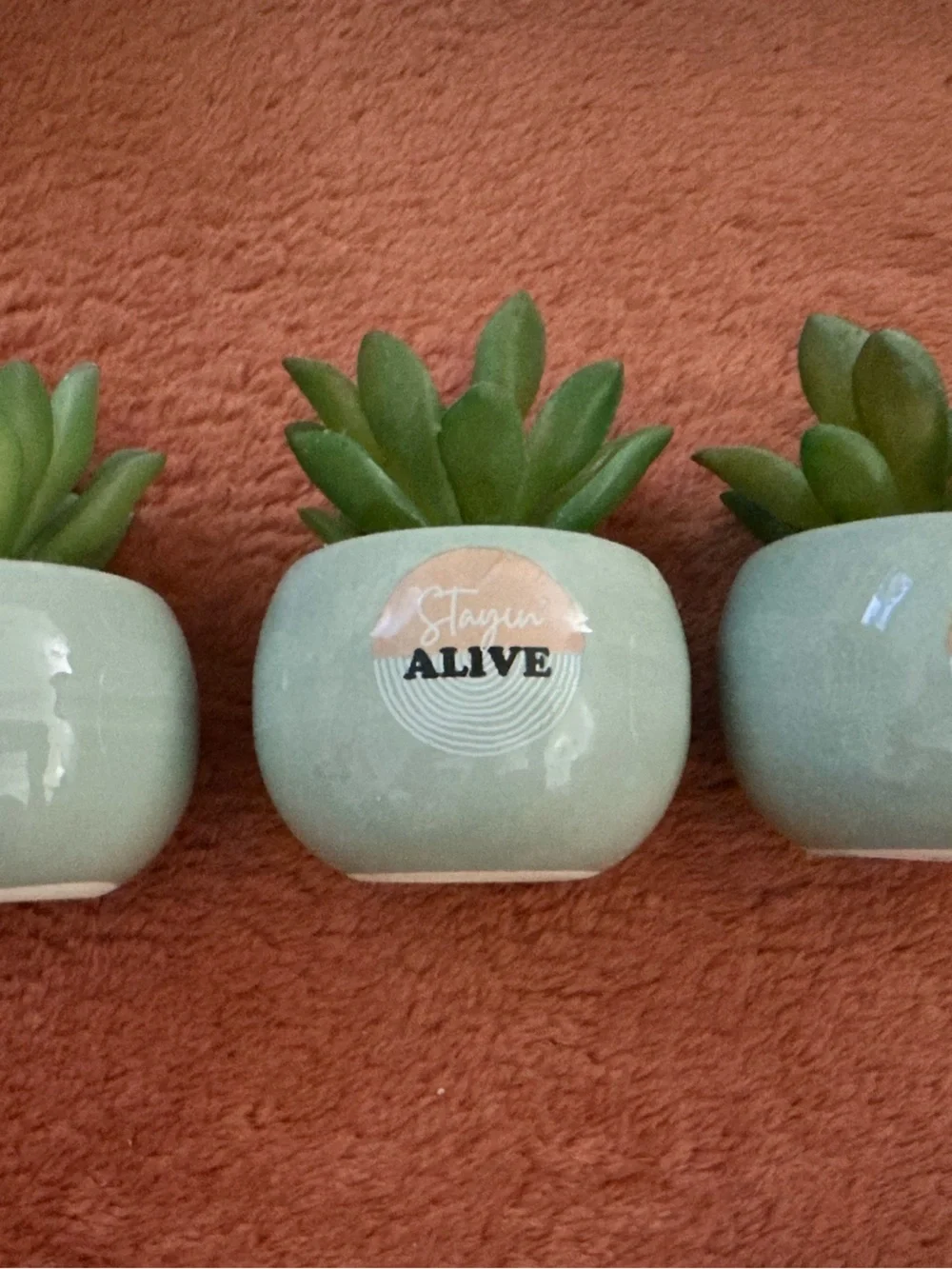 Faux Succulent in Mint Green Ceramic Planter